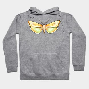 Butterfly Hoodie